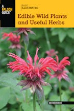 Basic Illustrated Edible Wild Plants and Useful Herbs - Falcon Guides